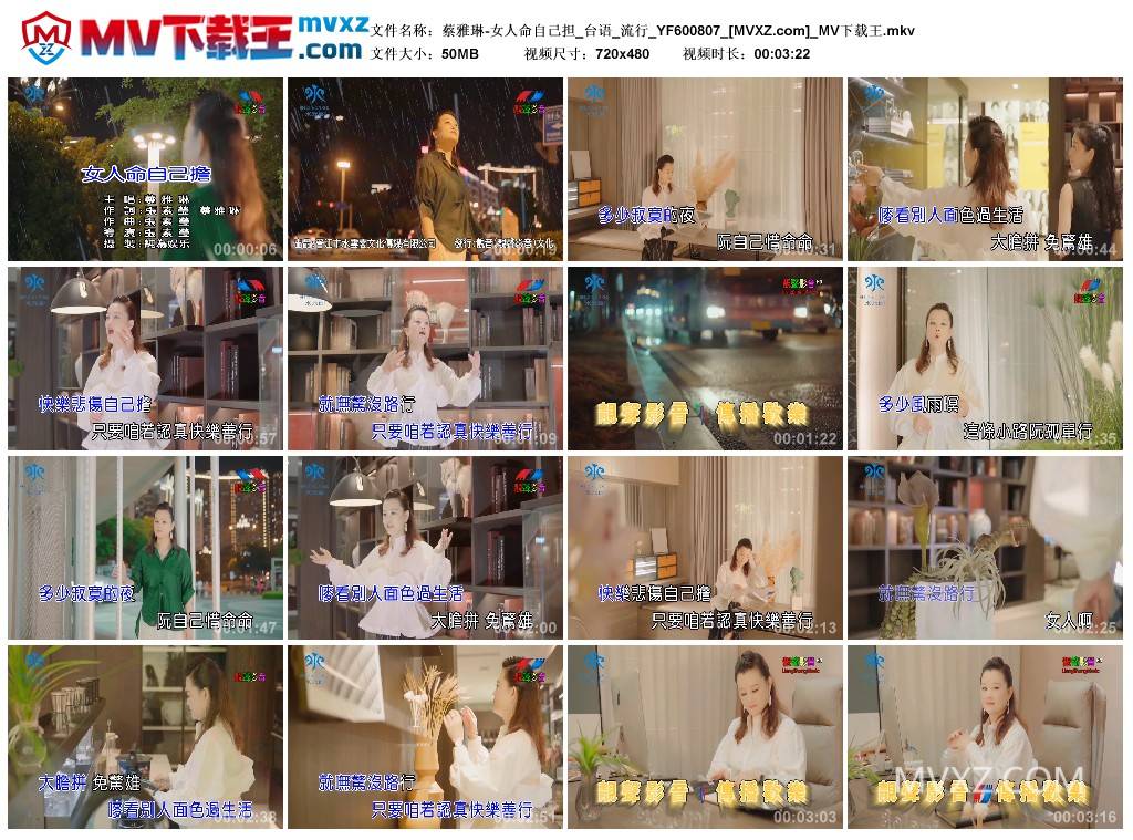 蔡雅琳-女人命自己担_台语_流行_YF600807